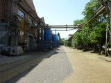P1000767.JPG